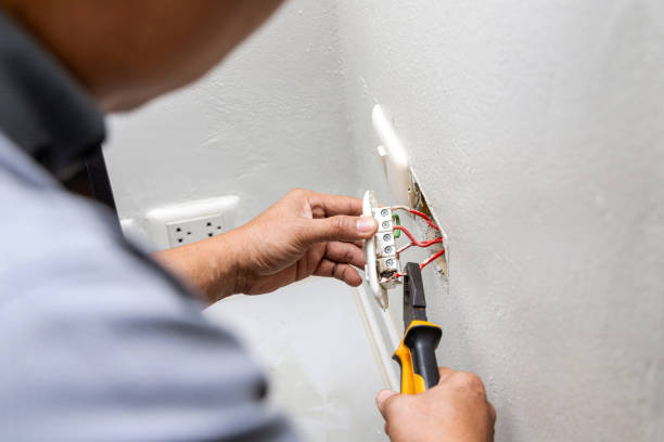 Best Electrical Repair Services  in La Huerta, NM